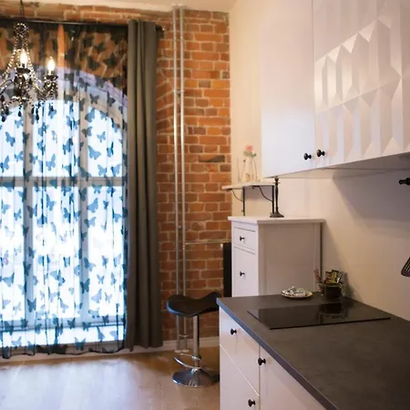 University Mini With Free Gym And Terrace *